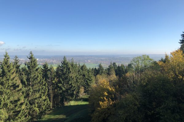 IMG_4659 Blick über die Wälder des Waldecker Landes